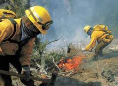 USFS crew